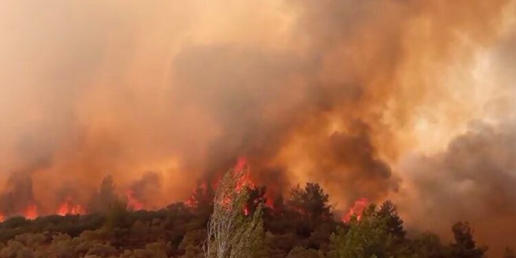 Yatağan-Çine yolu çift yönlü trafiğe kapatıldı; iki kişi gözaltına alındı
