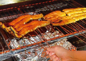 Yılan Balığı Yedi, Canından Oldu