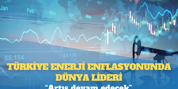 OECD raporu: Türkiye enerji enflasyonunda dünya lideri