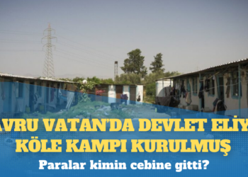 ‘Yavru Vatan’da devlet eliyle köle kampı kurulmuş: Paralar kimin cebine gitti?