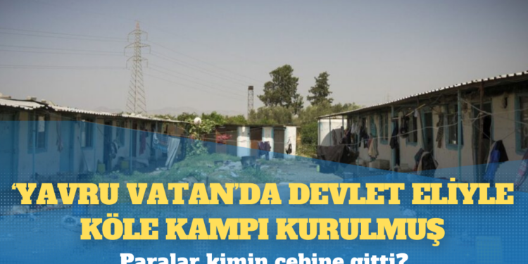 ‘Yavru Vatan’da devlet eliyle köle kampı kurulmuş: Paralar kimin cebine gitti?