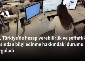 IPI, Türkiye’de hesap verebilirlik ve şeffaflık açısından bilgi edinme hakkındaki durumu sorguladı