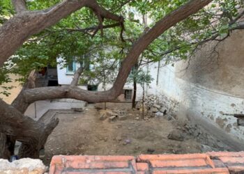5 aydır aranan Çiğdem’in cansız bedeni bahçede bulundu