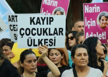 Narin için eylemdeler: Münferit değil organize bir cinayet