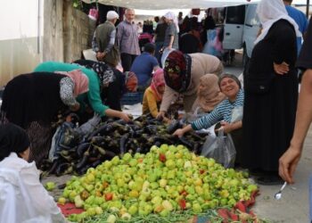 Pazarın nabzı: Ekonomi erken seçimle düzelir