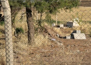 Narin Güran soruşturması: Aileden 7 kişi gözaltına alındı