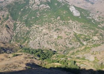 Eskar’da yasak sonrası askeri operasyon: Ormanlık alan bombalanıyor