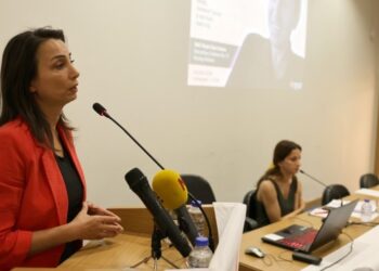Hatimoğulları: Sistem karşıtı güçlenebileceğimiz bir dönemdeyiz