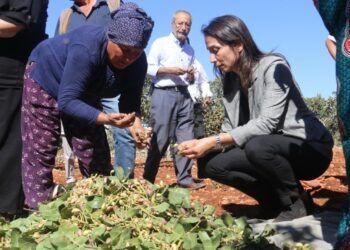 Hatimoğulları: Bir avuç insanın refahı için milyonlar aç bırakılıyor