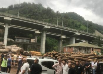 Hopalılar kereste atölyelerinin çalışmasını durdurdu