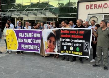 ‘Kürtlerin temel talebi anadilde eğitimdir’