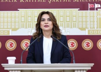 Koçyiğit’ten iktidara: Kafanızı kuma gömseniz de dünya İmralı tecridini konuşuyor