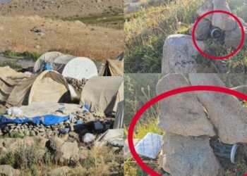 Berçelan Yaylası’ndaki berivanlardan fotokapan tepkisi