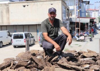 Fiyatı iki katına çıktı: Tezek bile alamıyoruz