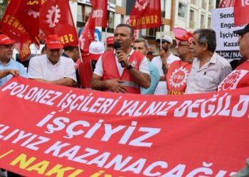 ‘Polonez işçileri kazanırsa Türkiye işçi sınıfı kazanacak’
