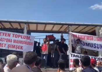 Ereğli’de domates çiftçisi isyan etti