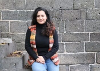 Gazeteci Mamedoğlu hakkında soruşturma