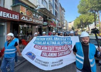 Fernas Madencilik işçilerine sanatçılardan destek