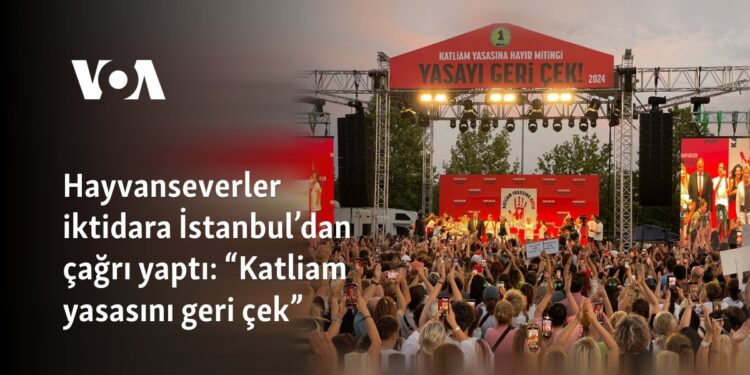 Hayvanseverler iktidara İstanbul’dan çağrı yaptı: “Katliam yasasını geri çek”