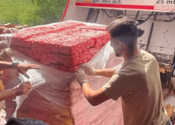 ANTALYA | 17 ton tavuk ve kıyma ele geçirildi; son kullanma tarihleri değiştirilmiş!