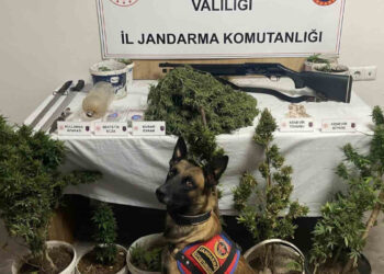 Afyonkarahisar’da Uyuşturucu Operasyonu: 6 Gözaltı