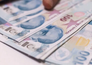 Aile Destek Ödemelerinin Ne Zaman Yatacağı Belli Oldu
