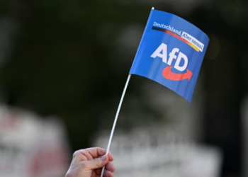 Almanya iki eyalette seçime gidiyor; AfD rüzgarı korkutuyor