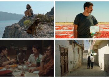 Altın Koza Günlükleri 3: Performans ve sinema