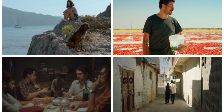 Altın Koza Günlükleri 3: Performans ve sinema