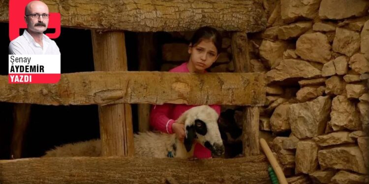 Altın Koza günlükleri 1: Yarım kalan ‘Umut’lar