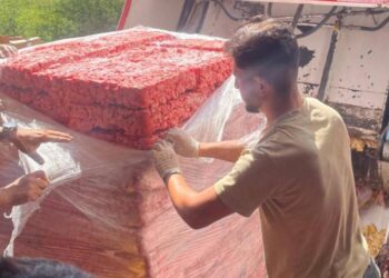 Antalya’da 17 ton bozuk tavuk ele geçirildi
