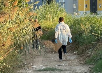 Antalya’da boş arazide 10 günlük erkek cesedi bulundu