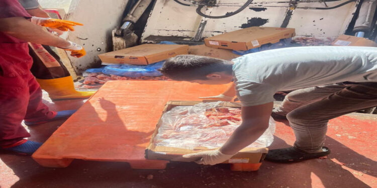 Antalya'da tonlarca bozuk tavuk ele geçirildi