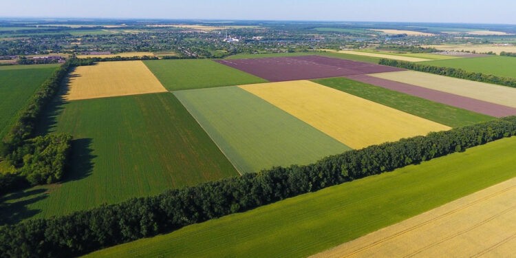 Arazi Sahipleri Dikkat, Son 16 Gününüz Kaldı