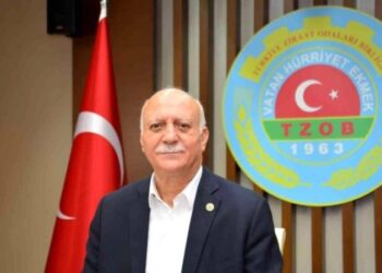 Ayçiçeğinde kuraklık desteği verilmesi son derece önemli