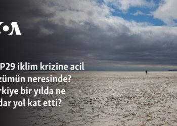 COP29 iklim krizine acil çözümün neresinde? Türkiye bir yılda ne kadar yol kat etti?