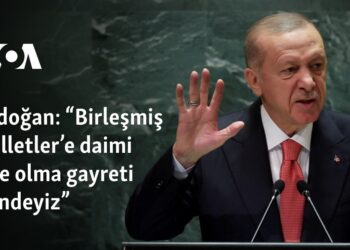 Erdoğan: “Birleşmiş Milletler’e daimi üye olma gayreti içindeyiz”