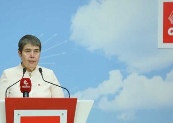 CHP'li Şahbaz: Batı Nil virüsü nedeniyle hastaneye yatan onlarca ciddi vaka var