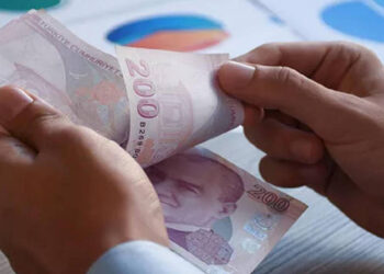 Beklenen Hasat Sonunda Başladı! 3 Bin Liraya Satılıyor Duyan Hemen Alıyor