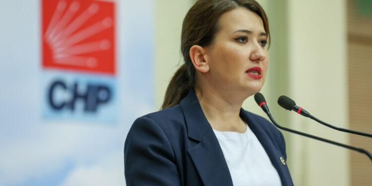 CHP'li Gökçen'den HÜDA PAR'a Sert Yanıt: 'Domuz Bağcılara, Kadın Katillerine Bilal’e Anlatır Gibi Anlatıyoruz...'