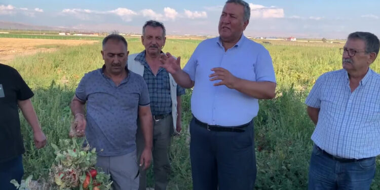 CHP'li Gürer'den Çiftçiler İçin Acil Çözüm Çağrısı: '2027'ye Kadar Ertelenmeli'