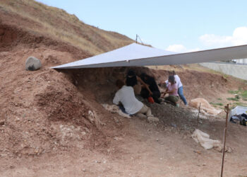 Çankırı'da 9 Milyon Yıllık Fil Kemikleri Bulundu