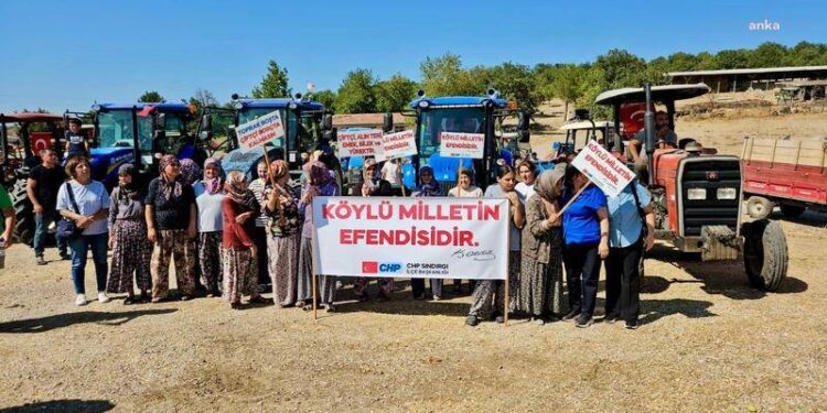Çiftçiler borç batağında; üretim maliyetleri altında alım fiyatlarıyla mücadele ediyorlar