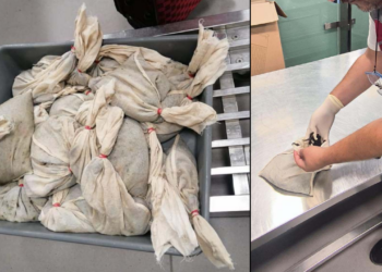 Çuval Çuval Tıbbi Sülüğü Ülkeye Sokmaya Çalıştı! Tam 20 Bin Adet Canlı Sülük Ele Geçirildi