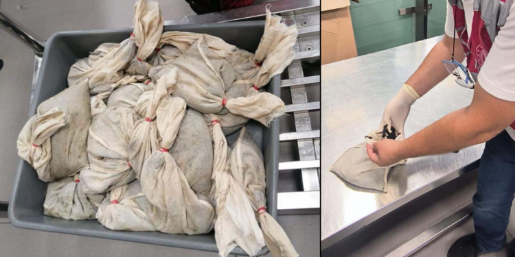 Çuval Çuval Tıbbi Sülüğü Ülkeye Sokmaya Çalıştı! Tam 20 Bin Adet Canlı Sülük Ele Geçirildi