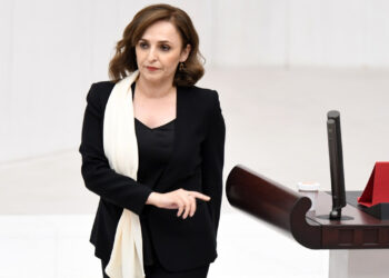 DEM Parti Sözcüsü Doğan: Türkiye’de çocuklar çocukluklarını yaşayamıyor