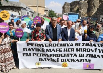 Eğitim Sen ve dil derneklerinin talebi ortak: Anadilde eğitim