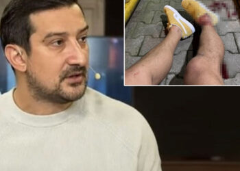 Fenerbahçe'den Serhat Akın Saldırısına İlişkin Yeni Açıklama