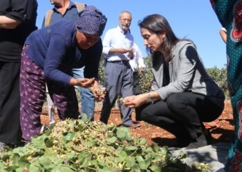 Hatimoğulları: Bir avuç insanın refahı için milyonlar aç bırakılıyor