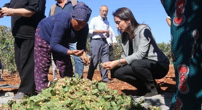 Hatimoğulları: Bir avuç insanın refahı için milyonlar aç bırakılıyor